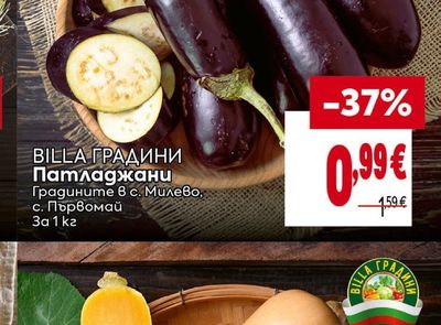 BILLA ГРАДИНИ Патладжани