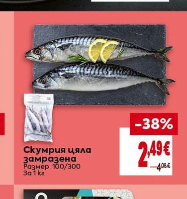 Скумрия цяла замразена