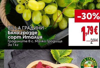 BILLA ГРАДИНИ Бяло грозде сорт Италия