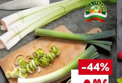 BILLA ГРАДИНИ Праз връзка