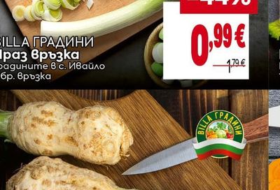 BILLA ГРАДИНИ Целина глава с листа