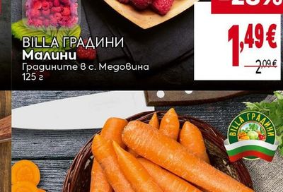 BILLA ГРАДИНИ Моркови