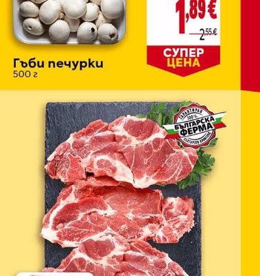 Гъби печурки