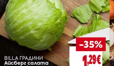 BILLA ГРАДИНИ Айсберг салата