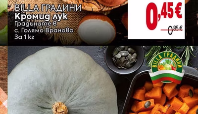 BILLA ГРАДИНИ Тиква сива