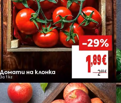 Домати на клонка