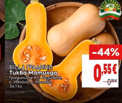 BILLA ГРАДИНИ Тиква Матилда