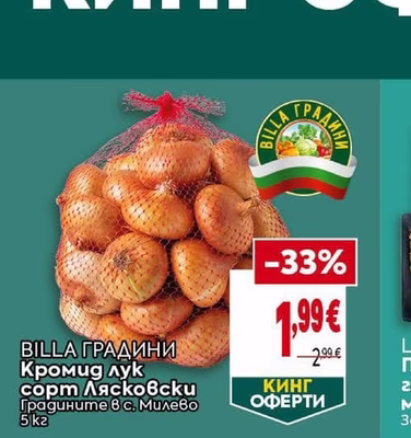 BILLA ГРАДИНИ Кромид лук сорт Лясковски
