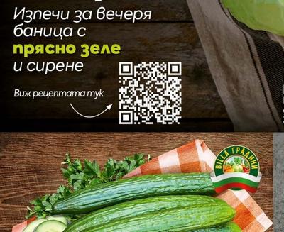 BILLA ГРАДИНИ Бяло зеле