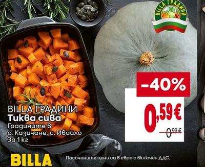 BILLA ГРАДИНИ Тиква сива
