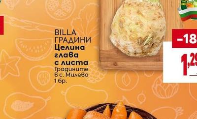 BILLA ГРАДИНИ Целина глава с листа