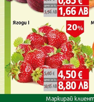Цвекло червено ІІ