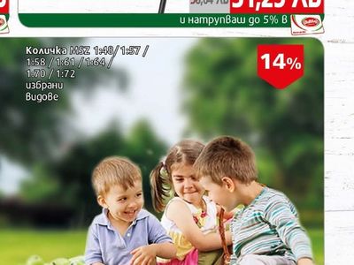 Стълба домакинска