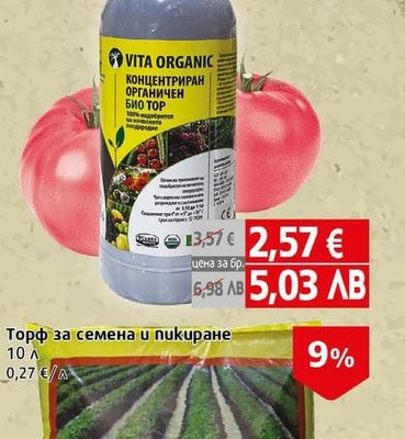 Стефи Торф за семена и пикиране