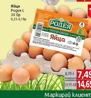 Яйца