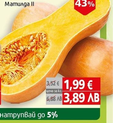 Лук ІІ