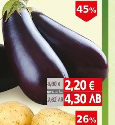 Sorpresa Царевица Варена