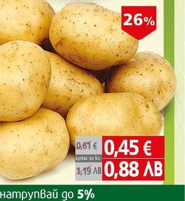 Патладжан