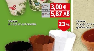 Саксия Рустика