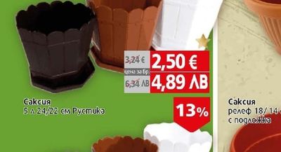 Саксия Рустика