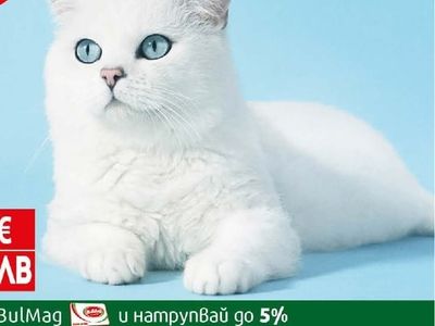 Jungle Котешка тоалетна Джангъл Бентон