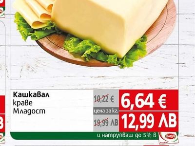 Кашкавал краве Младост