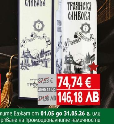 Ракия Троянска Сливова Порцелан 10YO