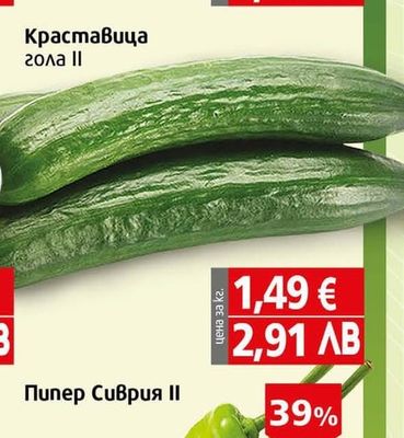 Диня ІІ
