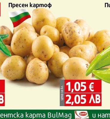 Чесън млечен II