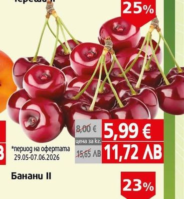 Картоф пресен
