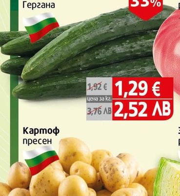 Краставица Гергана