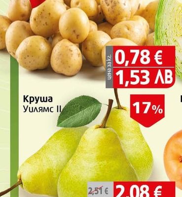 Картоф пресен
