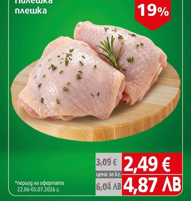 Пилешка плешка