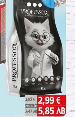 Professor Котешка тоалетна