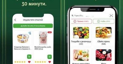 Авокадо бр