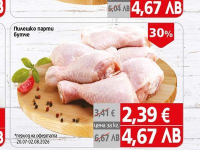 Пилешка плешка