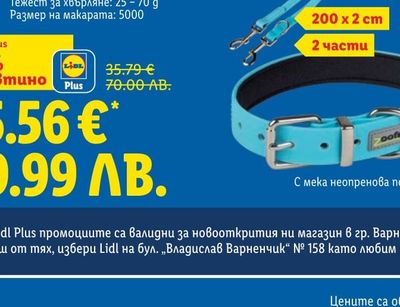 Хипоестес