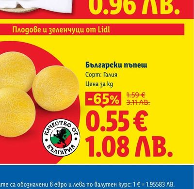 Hoffmanns Куфар XL