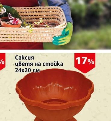 Саксия цветя на стойка