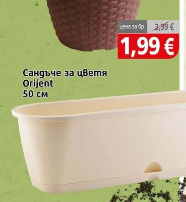 Саксия ратан