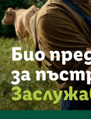 Боженци Сирене краве Боженци