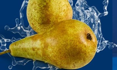 Моркови II