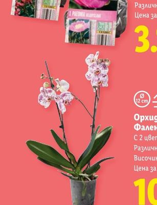 Подложки