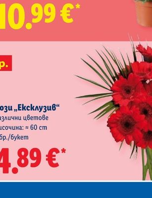 Voltz Блендер нутри