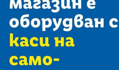 Домат зелен II