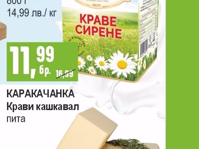 ЛЕСИДРЕН Краве сирене бяло, саламурено тенекия