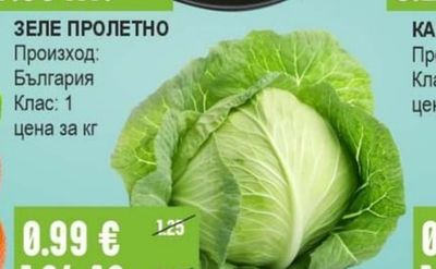 ЗЕЛЕ ПРОЛЕТНО