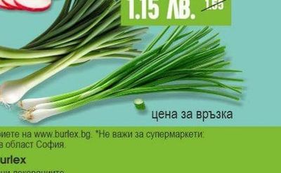 Зелен лук