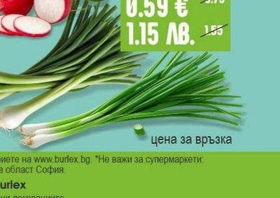 Зелен лук