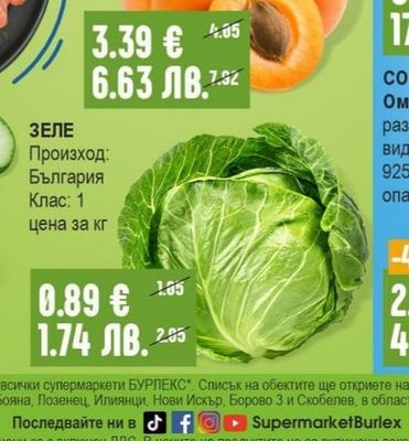 КАЙСИИ